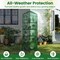 Mini Greenhouse with 5 Shelves, Roll-Up Door & PE Cover for Indoor & Outdoor Plants